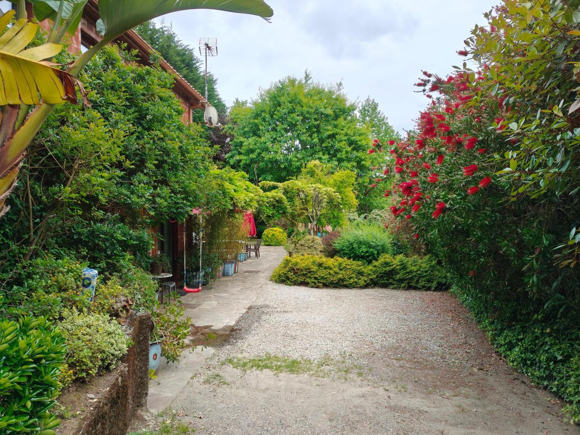 Apartamentos Rosa Jove Cabañas エクステリア 写真