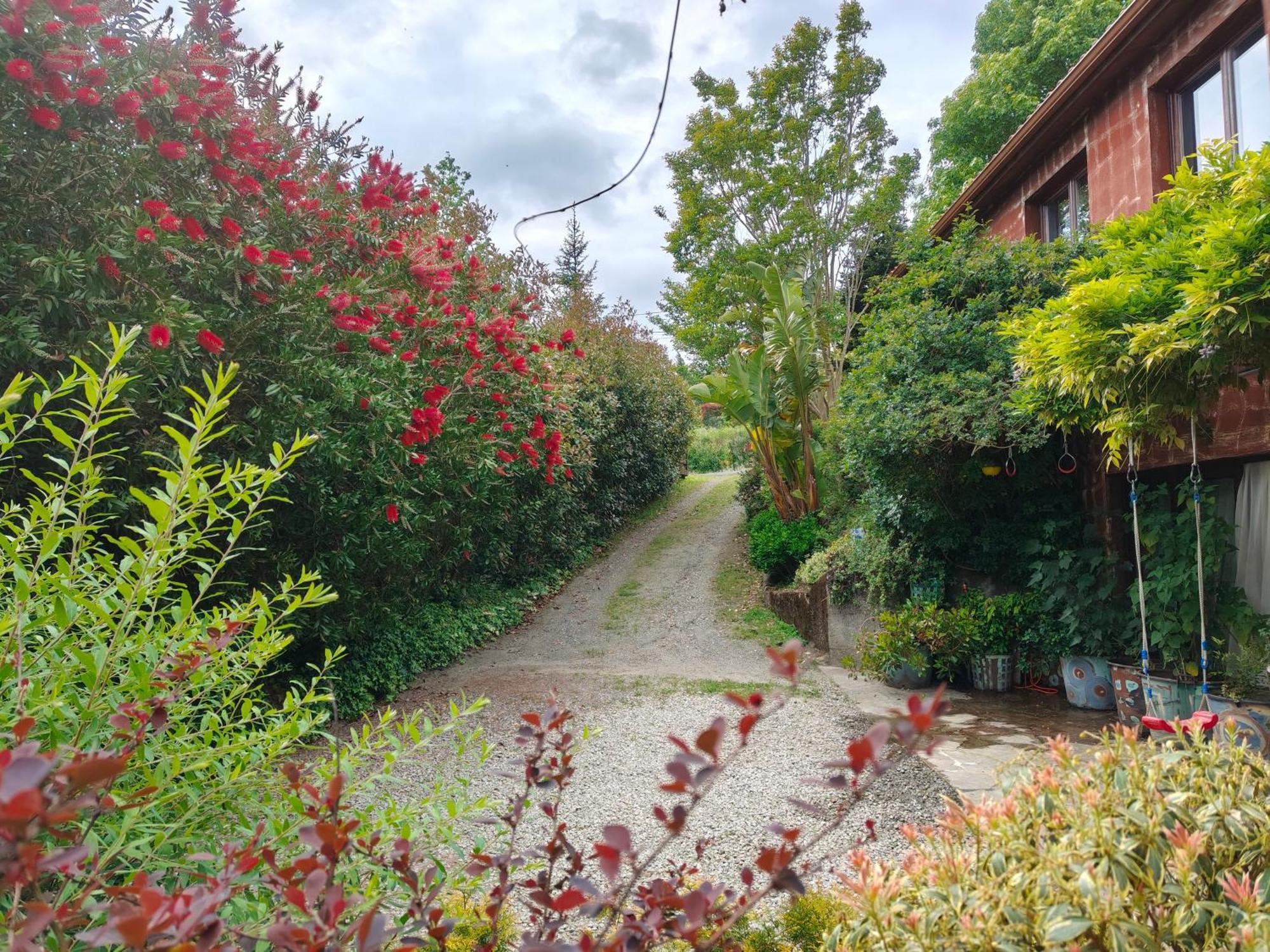 Apartamentos Rosa Jove Cabañas エクステリア 写真